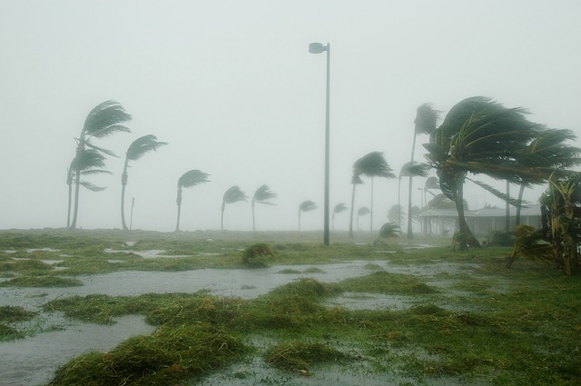 Florida Hurricane Preparedness